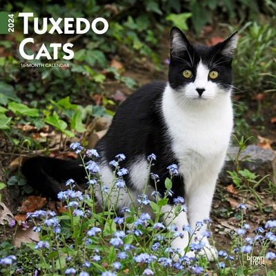 Tuxedo Cats 2024 Square by Browntrout
