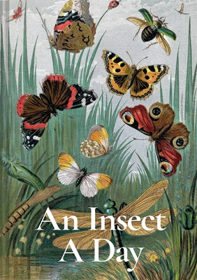 An Insect a Day by Couzens, Dominic