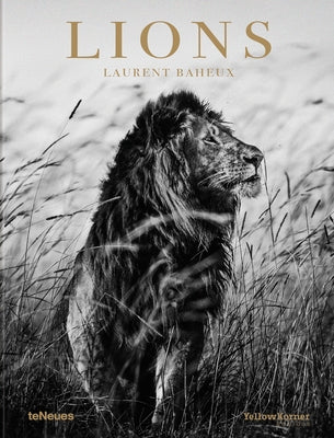 Lions by Baheux, Laurent