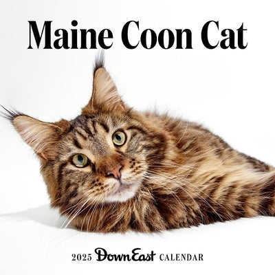 2025 Maine Coon Cat Wall Calendar by Down East Magazine