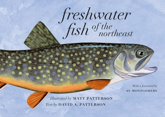Freshwater Fish of the Northeast by Patterson, Matt