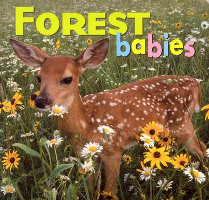 Forest Babies by McCurry, Kristen