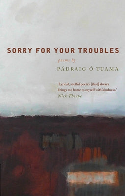 Sorry for Your Troubles by &#195;&#147;. Tuama, P&#195;&#161;draig