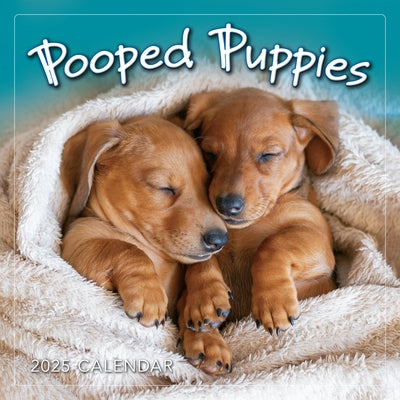 2025 Pooped Puppies Mini Calendar by Sellers Publishing, Inc