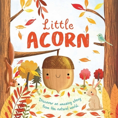 Nature Stories: Little Acorn-Discover an Amazing Story from the Natural World: Padded Board Book by Igloobooks