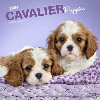 Cavalier King Charles Spaniel Puppies 2024 Square by Browntrout