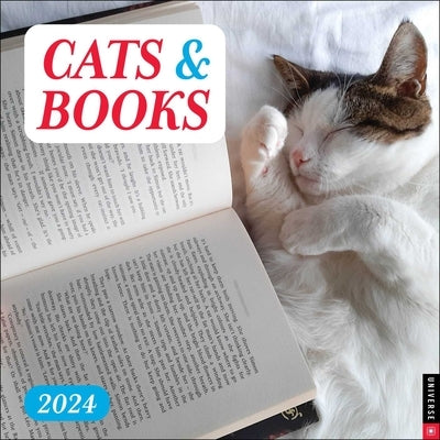 Cats & Books 2024 Wall Calendar by Universe Publishing