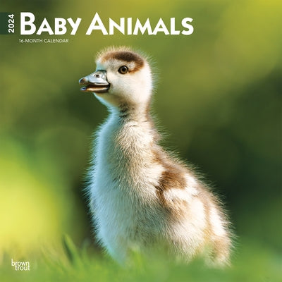 Baby Animals 2024 Square by Browntrout