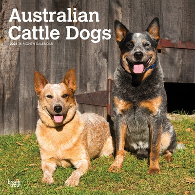 Australian Cattle Dogs 2024 Square by Browntrout