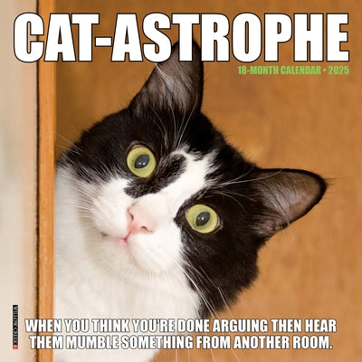 Cat-Astrophe 2025 7 X 7 Mini Wall Calendar by Willow Creek Press