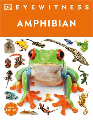 Eyewitness Amphibian by Dk