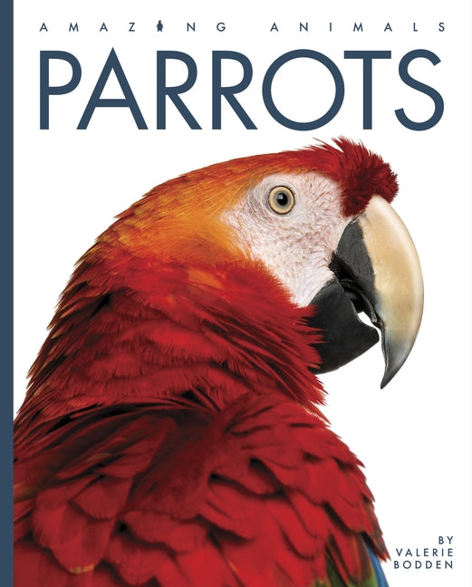 Parrots by Bodden, Valerie