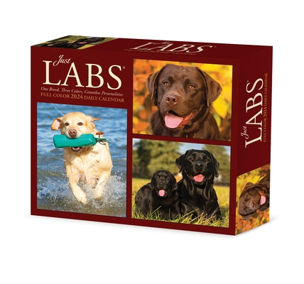 Labs 2024 6.2 X 5.4 Box Calendar by Willow Creek Press