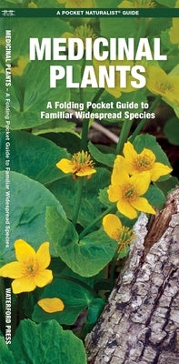 Medicinal Plants: An Introduction to Familiar North American Species by Kavanagh, James