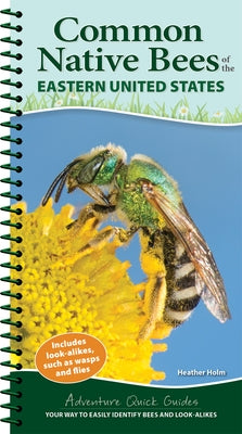 Common Native Bees of the Eastern United States: Your Way to Easily Identify Bees and Look-Alikes by Holm, Heather