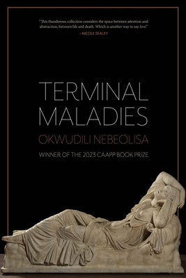 Terminal Maladies by Nebeolisa, Okwudili