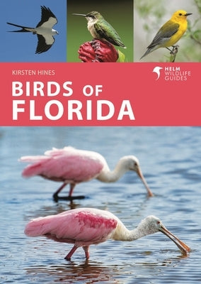 Birds of Florida by Hines, Kirsten