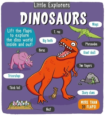 Little Explorers: Dinosaurs by Little Bee Books