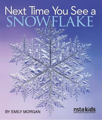 Next Time You See a Snowflake by Morgan, Emily