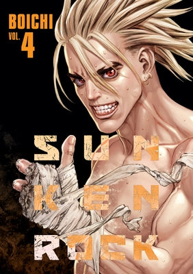 Sun-Ken Rock (Perfect Edition) Vol. 4 by Boichi