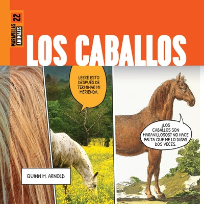 Los Caballos by Arnold, Quinn M.