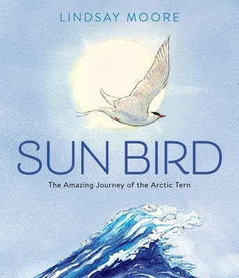 Sun Bird: The Amazing Journey of the Arctic Tern by Moore, Lindsay