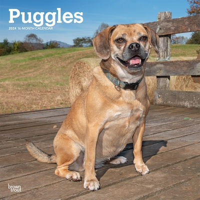 Puggles 2024 Square by Browntrout