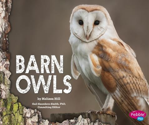 Barn Owls by Saunders-Smith, Gail