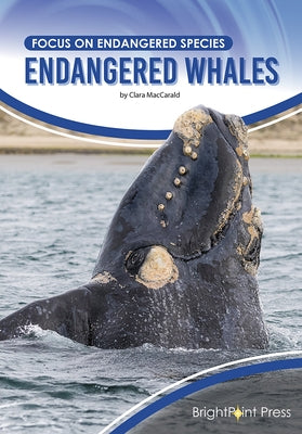 Endangered Whales by Maccarald, Clara