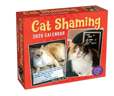 Cat Shaming 2025 Day-To-Day Calendar by Andrade, Pedro