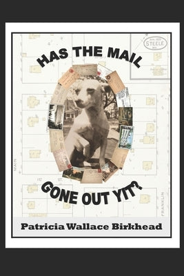 Has the Mail Gone Out Yit?: Tales of a Rural Mail Carrier by Birkhead, Paul James