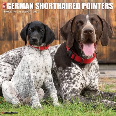 Just German Shorthaired Pointers 2024 12 X 12 Wall Calendar by Willow Creek Press
