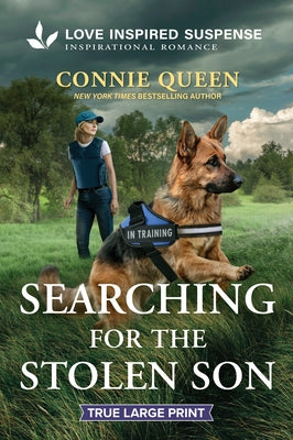 Searching for the Stolen Son by Queen, Connie