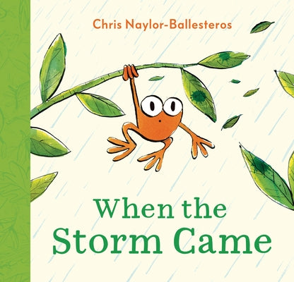When the Storm Came by Naylor-Ballesteros, Chris
