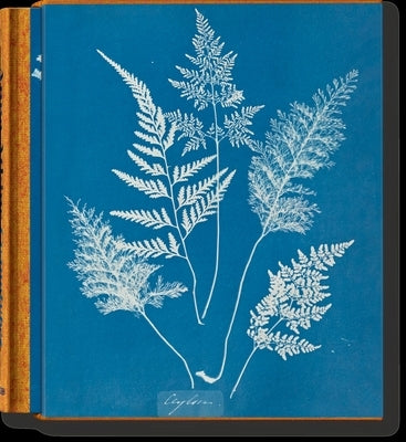 Anna Atkins. Cyanotypes by Walther, Peter