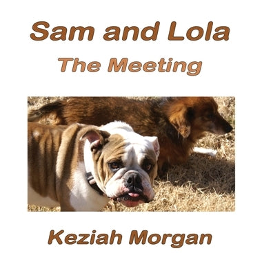 Sam and Lola: The Meeting by Morgan, Keziah