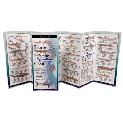 Sharks & Rays of the Pacific Coast by Kells, Val