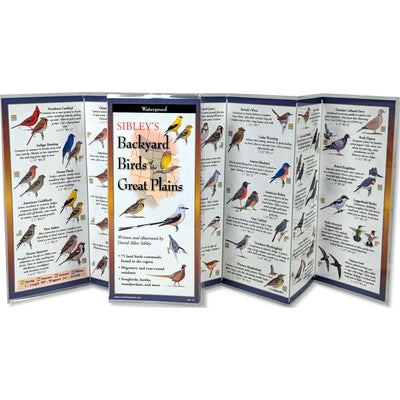 Sibley's Backyard Birds of the Great Plains by Sibley Allen David