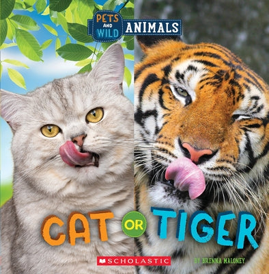 Cat or Tiger (Wild World: Pets and Wild Animals) by Maloney, Brenna