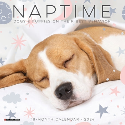 Naptime (Dogs) 2024 7 X 7 Mini Wall Calendar by Willow Creek Press