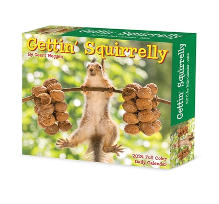 Gettin' Squirrelly 2024 6.2 X 5.4 Box Calendar by Geert Weggen