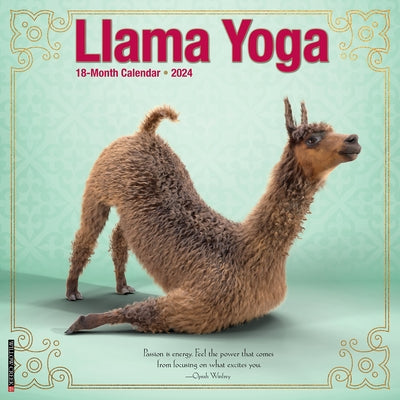 Llama Yoga 2024 12 X 12 Wall Calendar by Willow Creek Press