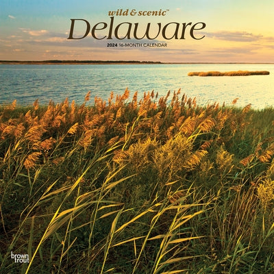 Delaware Wild & Scenic 2024 Square by Browntrout