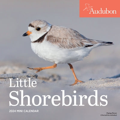 Audubon Little Shorebirds Mini Wall Calendar 2024: A Tribute to the Diversity of Shorebirds and the Fragile Ecosystems They Inhabit by Workman Calendars
