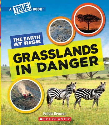 Grasslands in Danger (a True Book: The Earth at Risk) by Brower, Felicia