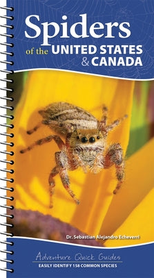 Spiders of the United States & Canada: Easily Identify 158 Common Species by Echeverri, Sebastian Alejandro