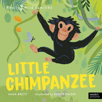 Little Chimpanzee: A Day in the Life of a Baby Chimp by Brett, Anna