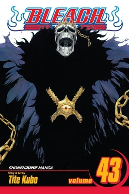 Bleach, Vol. 43: Kingdom of Hollows by Kubo, Tite