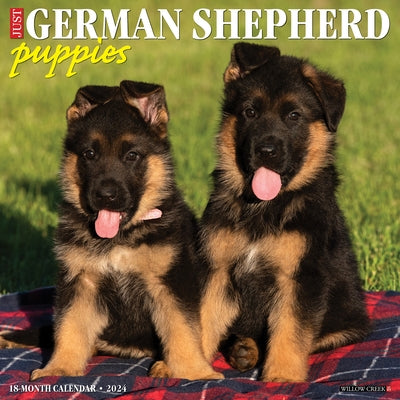 Just German Shepherd Puppies 2024 12 X 12 Wall Calendar by Willow Creek Press