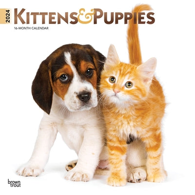 Kittens & Puppies 2024 Square Foil by Browntrout